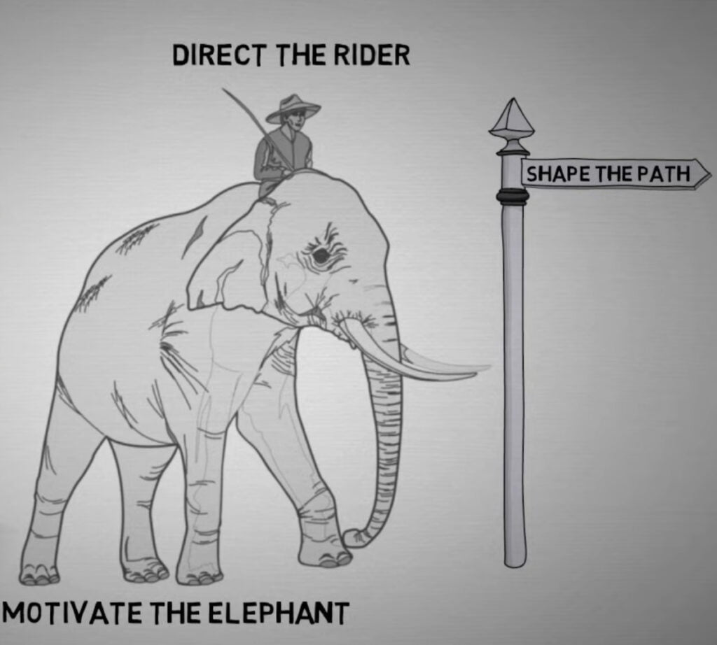 The Elephant, The Rider and the Path